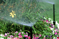 Irrigation Systems